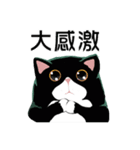 A cat named Hairball（個別スタンプ：38）