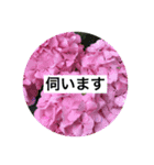 yu- お花（個別スタンプ：3）