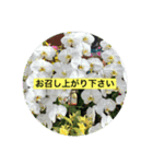 yu- お花（個別スタンプ：4）
