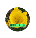 yu- お花（個別スタンプ：6）