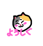 ねこのみけこ（個別スタンプ：1）