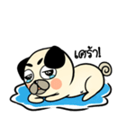 Pong Pong naught pug（個別スタンプ：6）