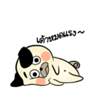 Pong Pong naught pug（個別スタンプ：8）