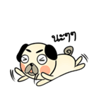 Pong Pong naught pug（個別スタンプ：21）