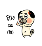 Pong Pong naught pug（個別スタンプ：23）