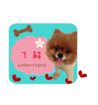 Bambi the Dog（個別スタンプ：4）