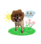 Bambi the Dog（個別スタンプ：10）