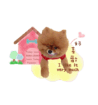 Bambi the Dog（個別スタンプ：13）