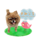 Bambi the Dog（個別スタンプ：15）