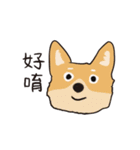 Woof！Dogs Family！（個別スタンプ：1）