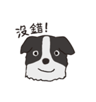 Woof！Dogs Family！（個別スタンプ：8）