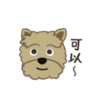 Woof！Dogs Family！（個別スタンプ：12）