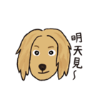 Woof！Dogs Family！（個別スタンプ：15）