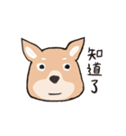 Woof！Dogs Family！（個別スタンプ：18）