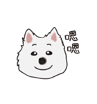 Woof！Dogs Family！（個別スタンプ：19）