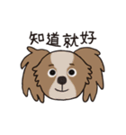 Woof！Dogs Family！（個別スタンプ：24）