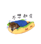 Shibainu Littlebao 2（個別スタンプ：6）