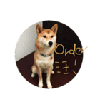 Orders Life（個別スタンプ：4）