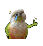 Momo＆Siousiou are conures（個別スタンプ：1）