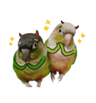 Momo＆Siousiou are conures（個別スタンプ：14）