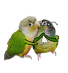 Momo＆Siousiou are conures（個別スタンプ：15）