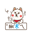 MI ER DOG（個別スタンプ：20）