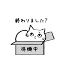 ゆるいねこの日常会話用（個別スタンプ：20）