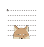 顔だけは動じないチベットスナギツネ（個別スタンプ：11）