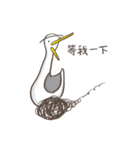 The unibrow Bird（個別スタンプ：40）