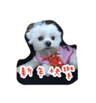 Dog-LaoDa（個別スタンプ：5）