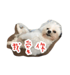 Dog-LaoDa（個別スタンプ：9）