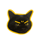 Black Cat Bibi With Yellow Eyes（個別スタンプ：2）