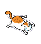 Meeks vs. Orange cat（個別スタンプ：23）