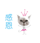 Double Cats 3（個別スタンプ：7）