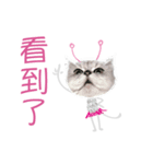 Double Cats 3（個別スタンプ：11）