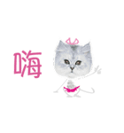 Double Cats 3（個別スタンプ：15）