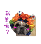 French Bulldog Fat bubble 2（個別スタンプ：2）