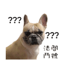 French Bulldog Fat bubble 2（個別スタンプ：3）