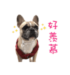 French Bulldog Fat bubble 2（個別スタンプ：10）