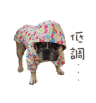 French Bulldog Fat bubble 2（個別スタンプ：14）