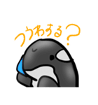 落書きシャチ（個別スタンプ：9）