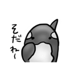 落書きシャチ（個別スタンプ：23）