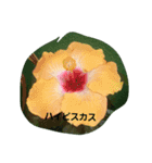 Flowers With Name（個別スタンプ：1）