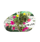 Flowers With Name（個別スタンプ：6）