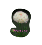 Flowers With Name（個別スタンプ：15）