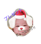 "Merry Christmas"（個別スタンプ：6）