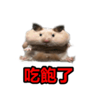 Hamster Bao bao 2（個別スタンプ：6）