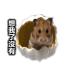 Hamster Bao bao 2（個別スタンプ：9）