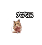 Hamster Bao bao 2（個別スタンプ：15）