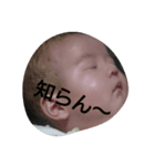 miochan stamp,（個別スタンプ：5）